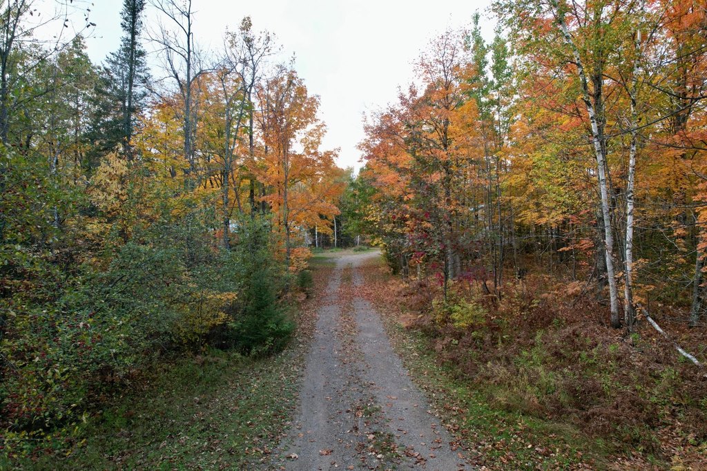 Picture 37