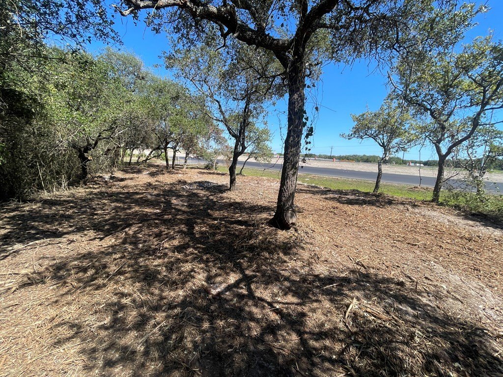Picture 4