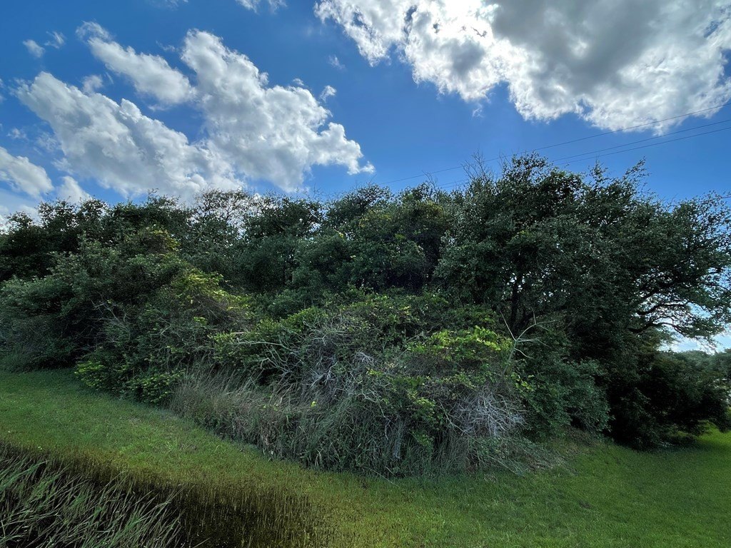 Picture 5