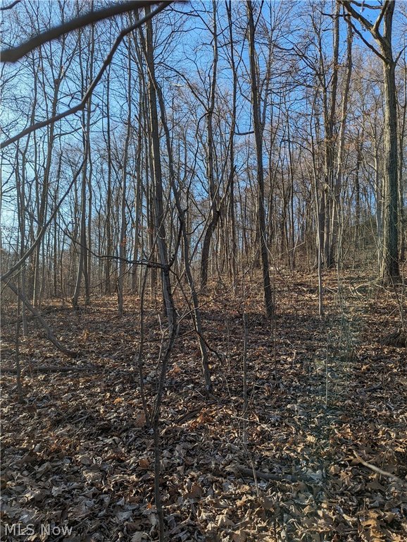 Picture 5