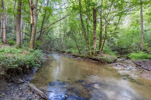 23.59 Acres in Andrews, NC