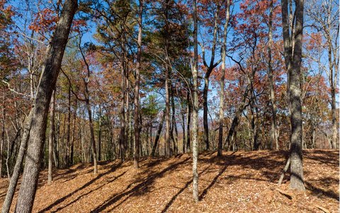 Ridge-Top View Buildable Lot