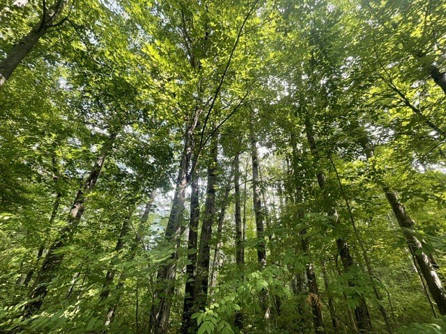 Picture 14