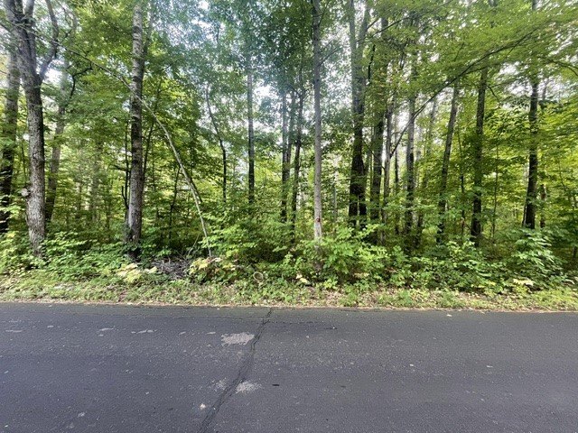 Picture 2