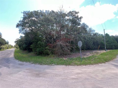 Land, Ocklawaha, FL