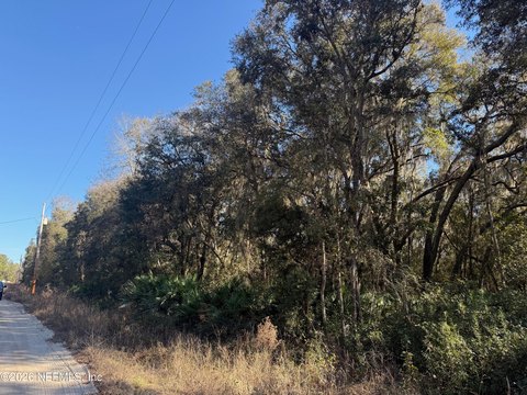 Vacant Land in Florahome, FL