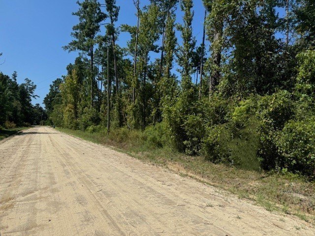 Picture 5