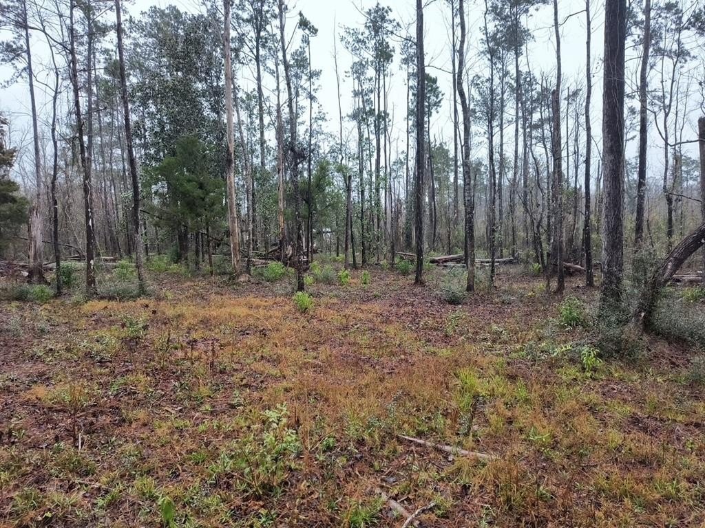 Picture 3