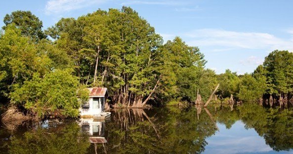 Picture 6