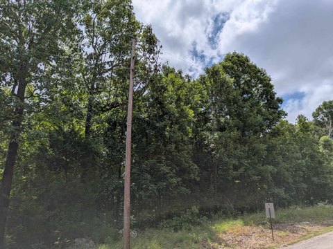 LAND - Ozark Acres, AR