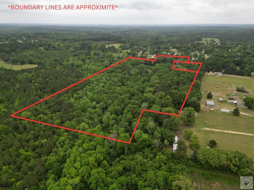 23 Acres of Wooded Land