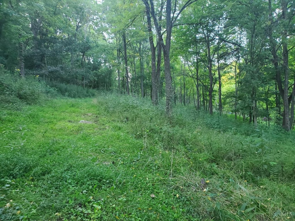 Picture 12