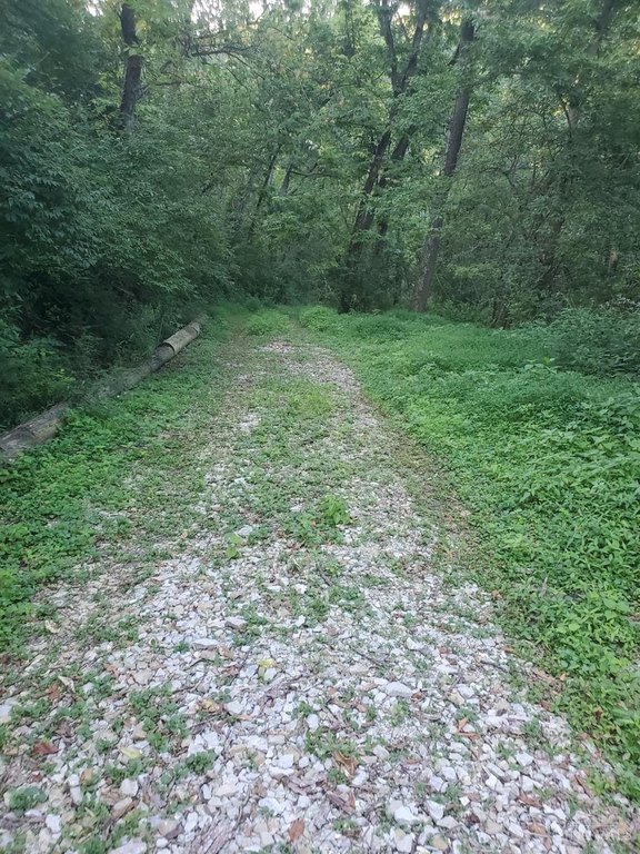 Picture 9