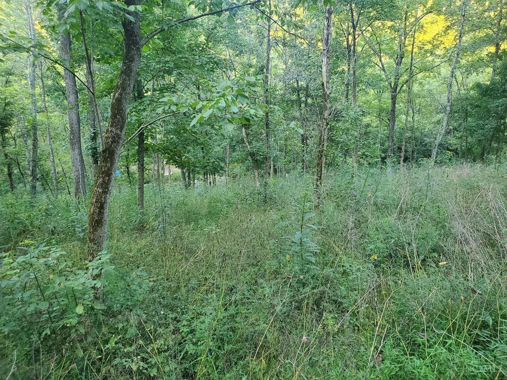 Picture 13