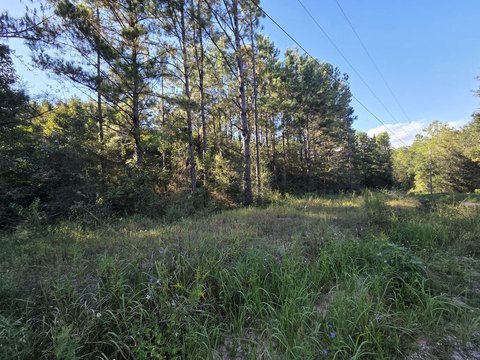Country Land with Right-of-Way Access