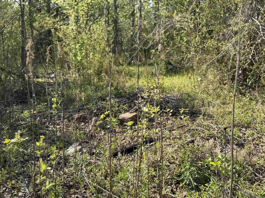 Picture 21