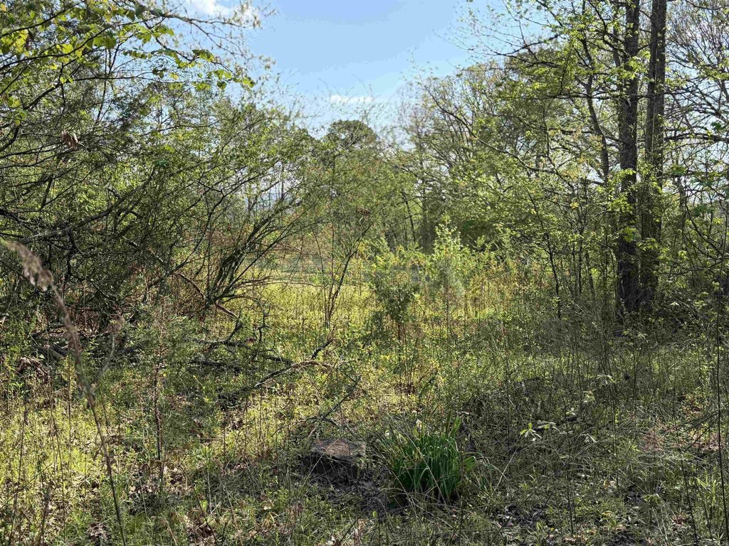Picture 16