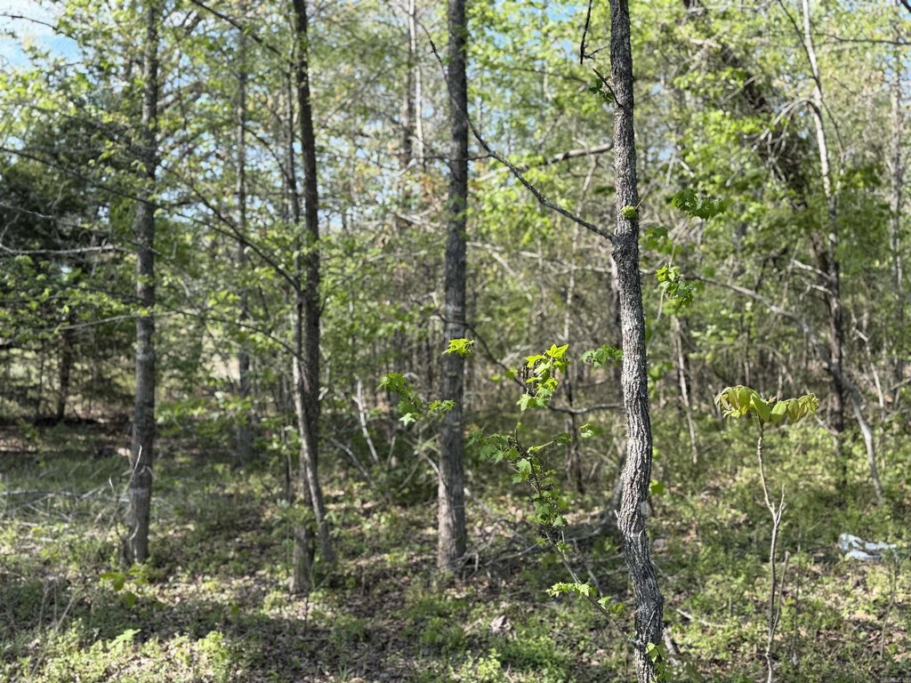 Picture 14