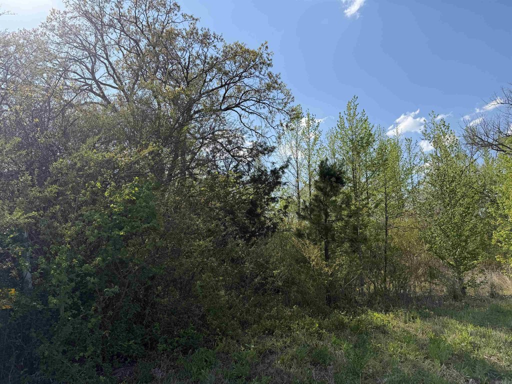 Picture 19