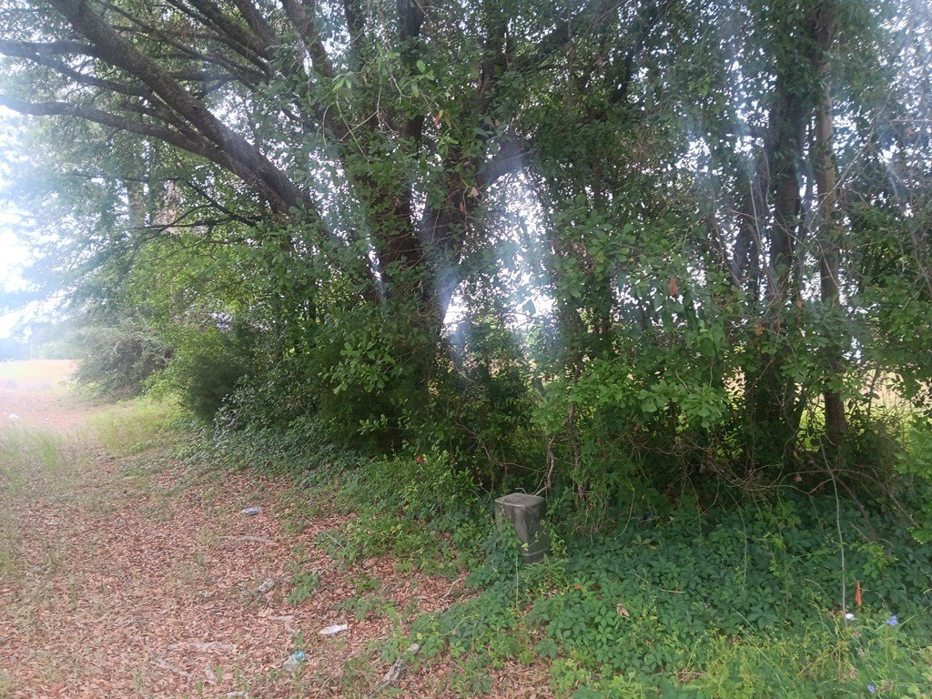 Picture 2