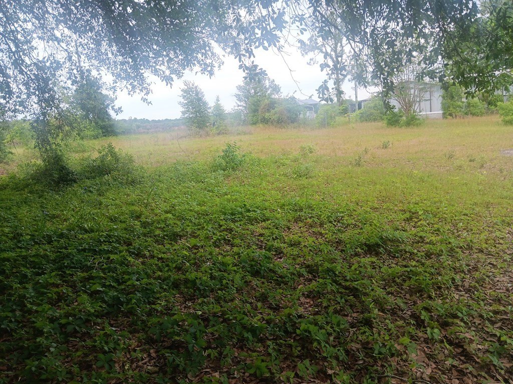 Picture 3