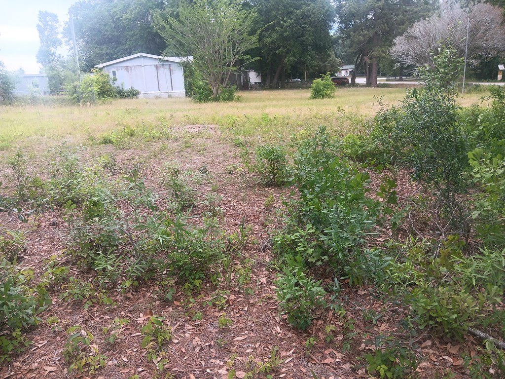 Picture 4