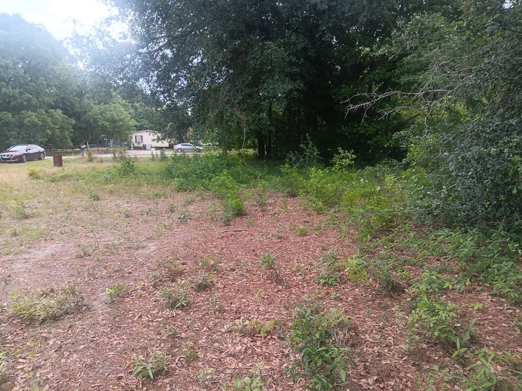 Picture 5