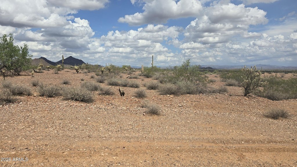 Picture 10