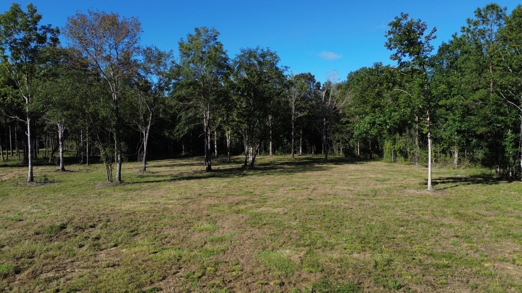 Picture 19
