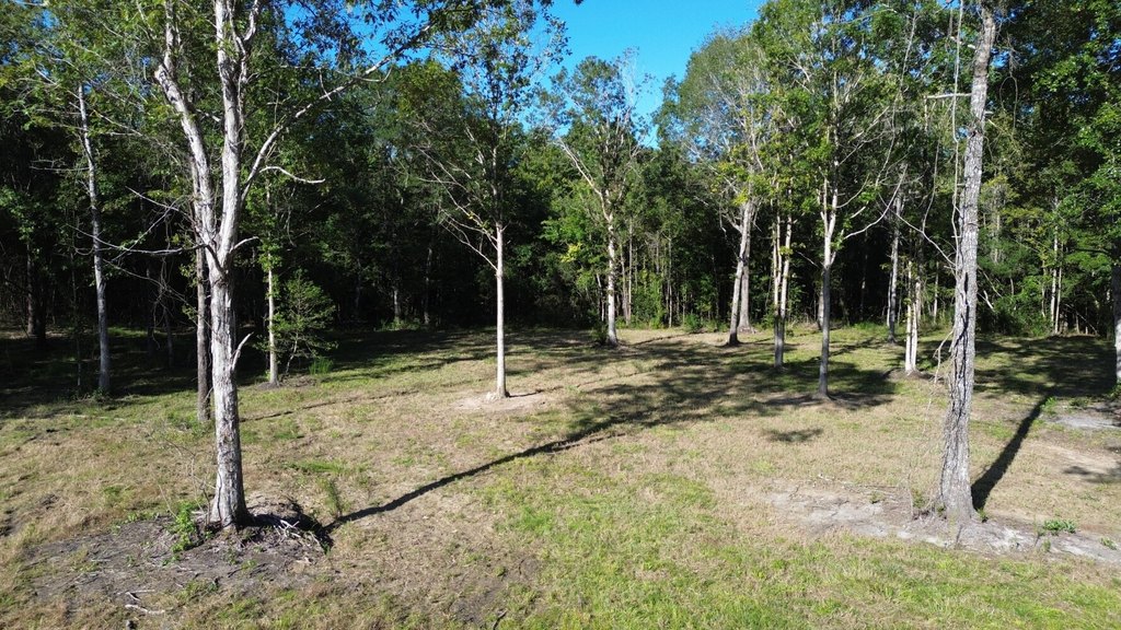 Picture 8