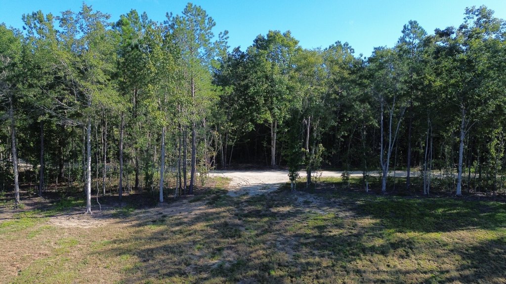 Picture 18
