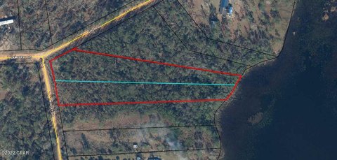 Lakefront Land in Alford, Florida