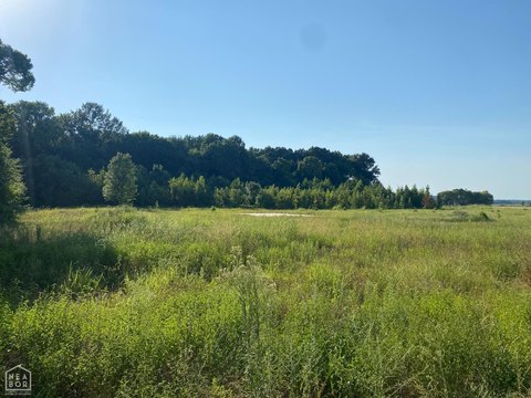 Vacant Land, Trumann, AR