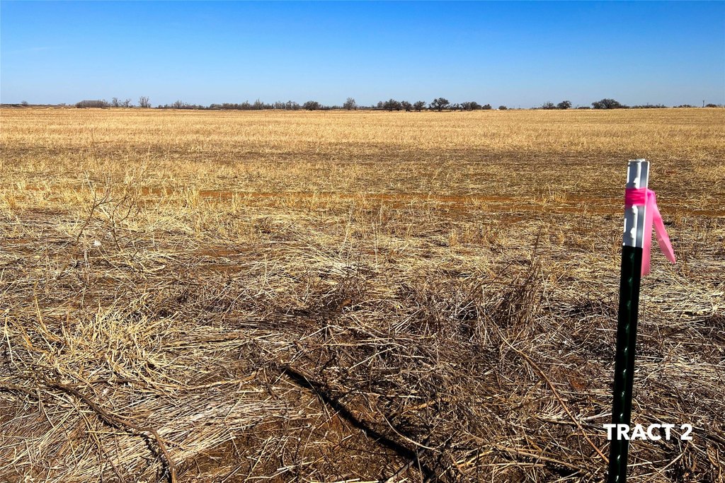 Picture 24