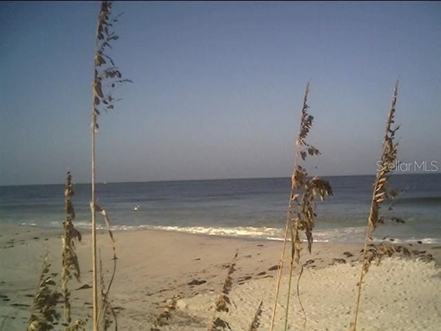 Picture 3