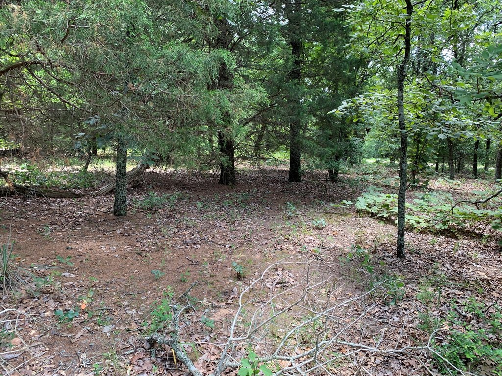 Picture 15