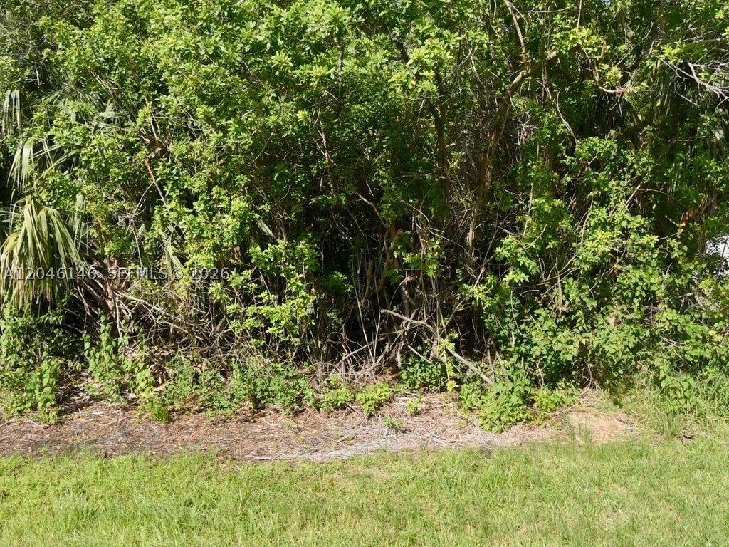 Picture 6
