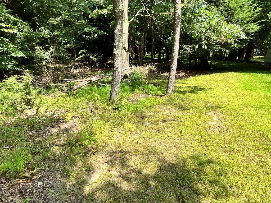 Picture 14