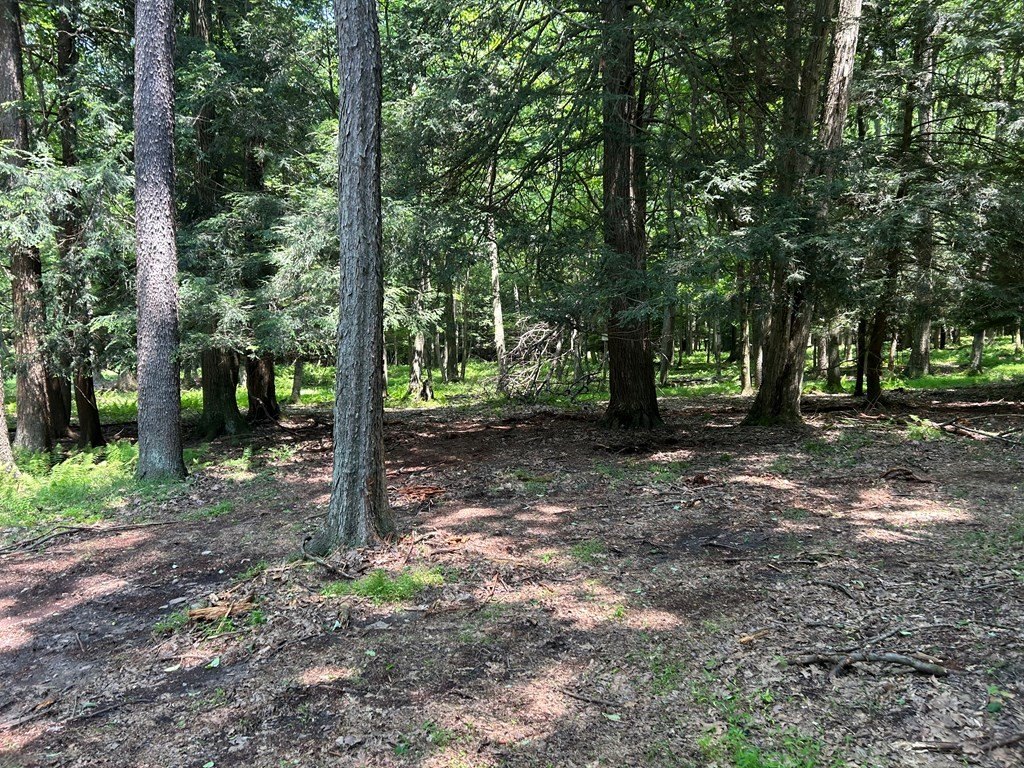 Picture 20