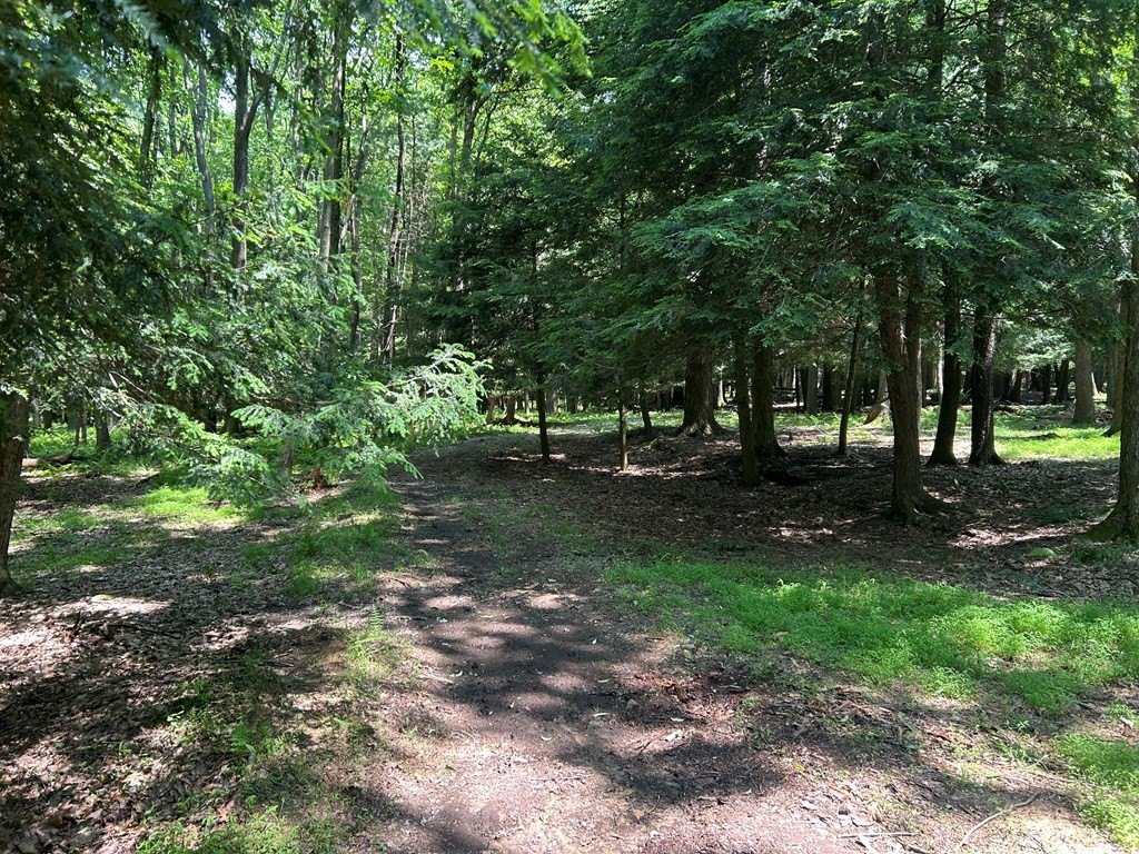 Picture 23