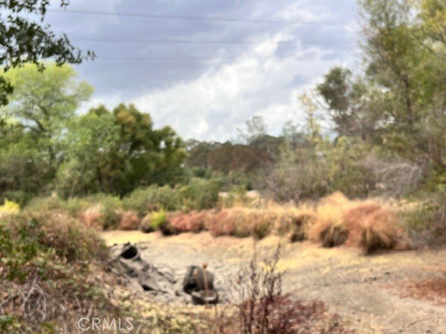Picture 18