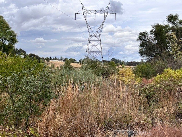 Picture 14
