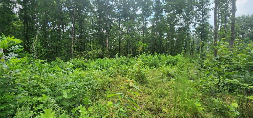Picture 3