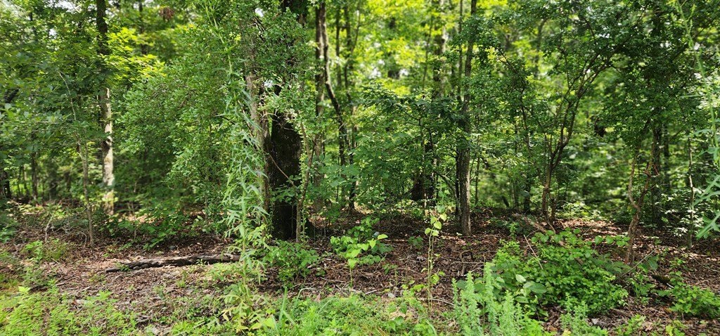 Picture 13