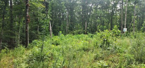 LAND - SUGAR TREE, TN