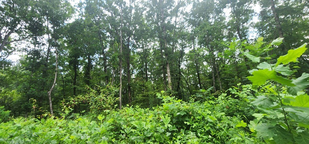 Picture 7