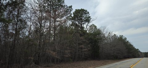 Pristine Wooded Land in Lincolnton, GA