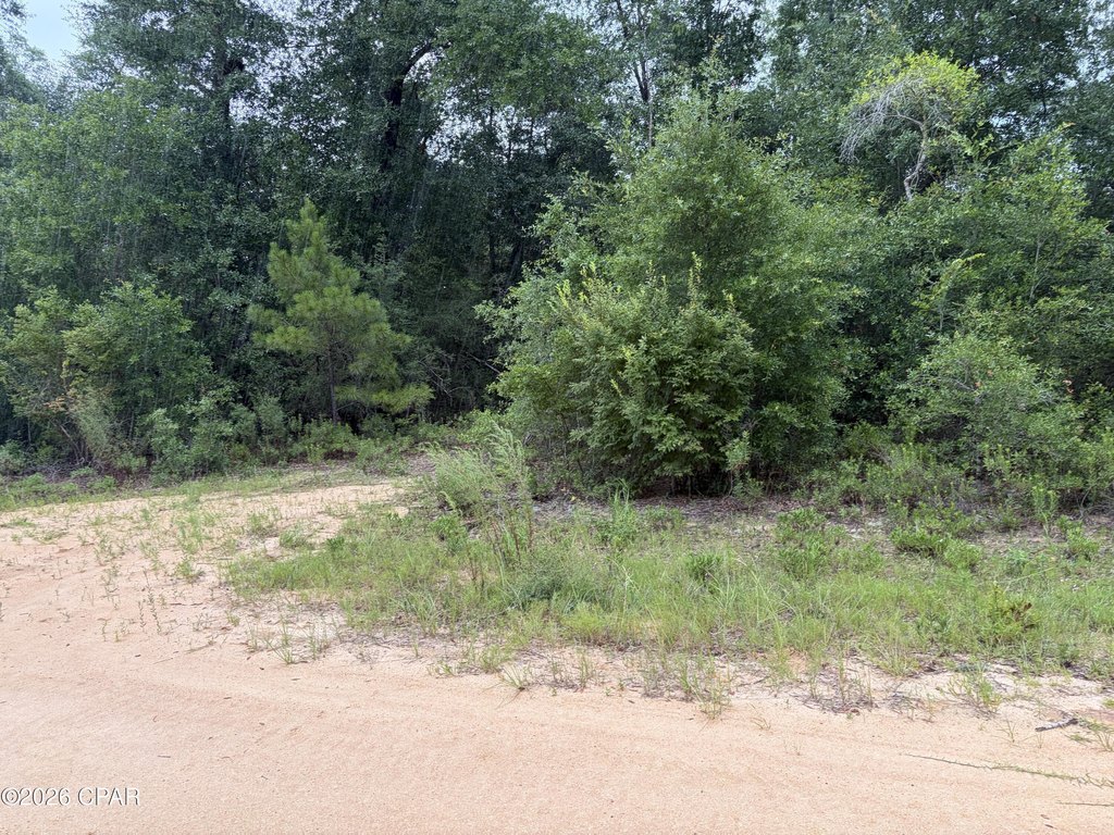 Picture 2