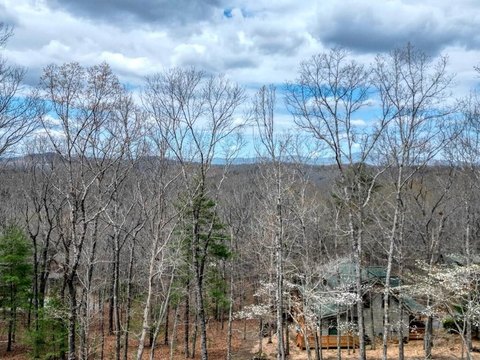 Waterfront Homesite Lot