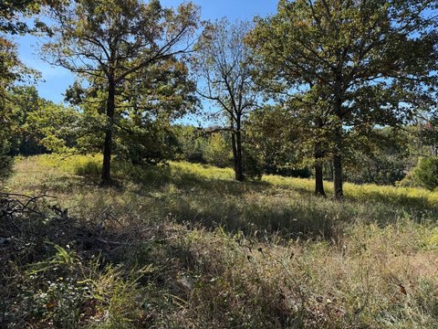 Land, Cave City, AR